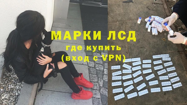 амф Беломорск