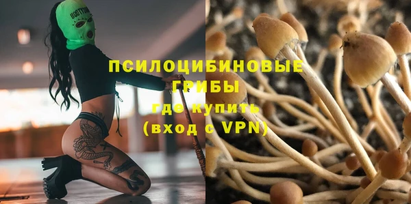 прущие крисы Богородицк