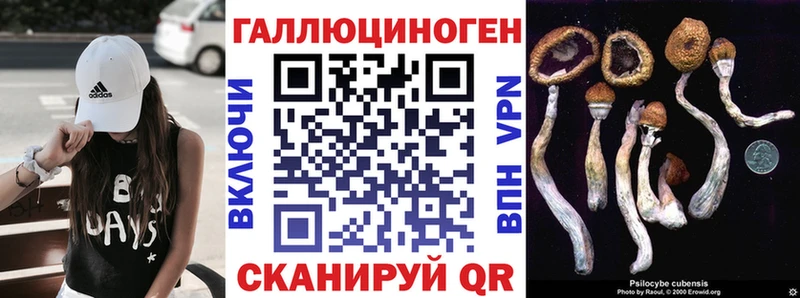 Псилоцибиновые грибы GOLDEN TEACHER  Козьмодемьянск 